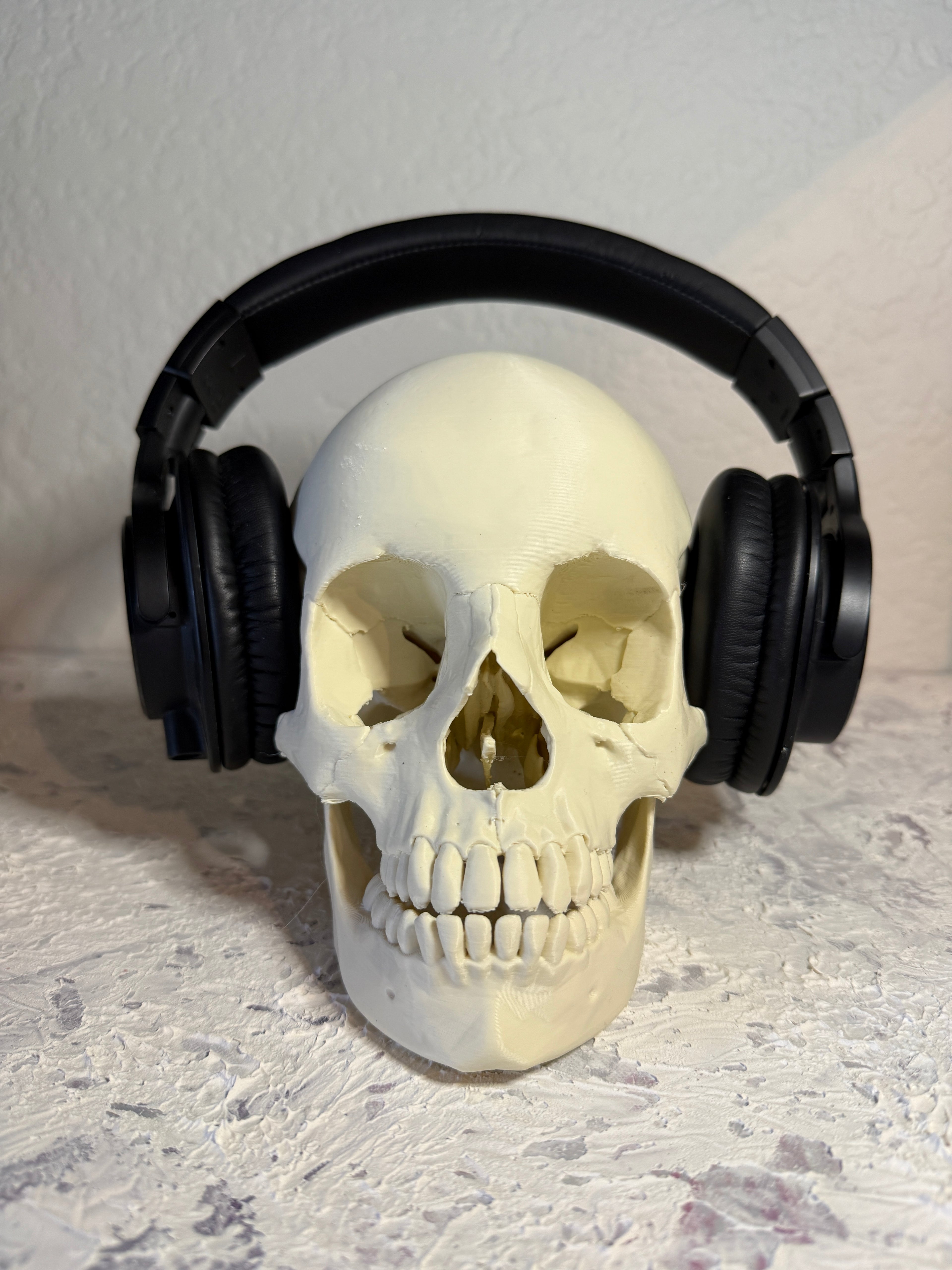 Human Skull Headphone Holder Display Piece - Anatomically accurate