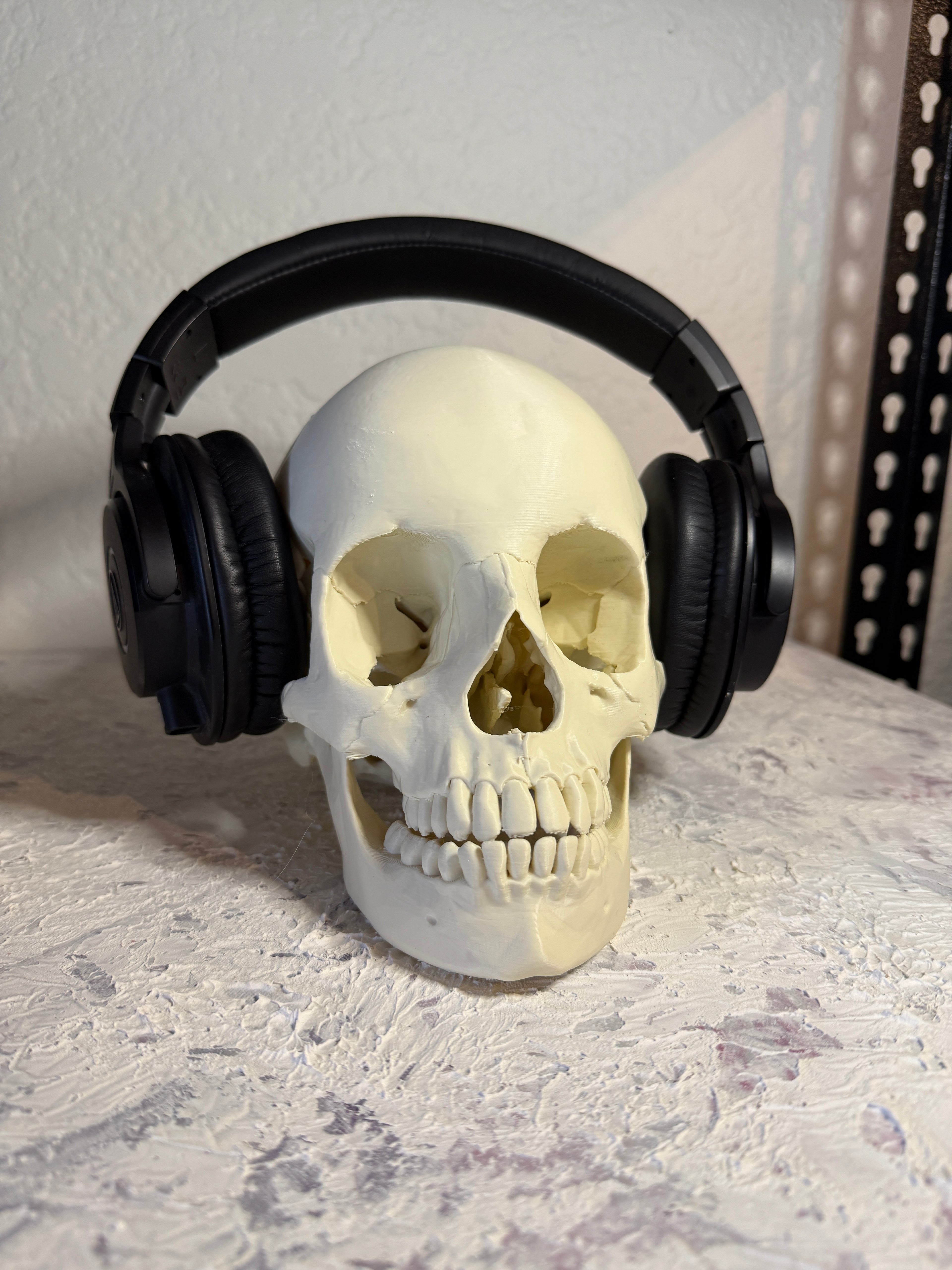 Human Skull Headphone Holder Display Piece - Anatomically accurate