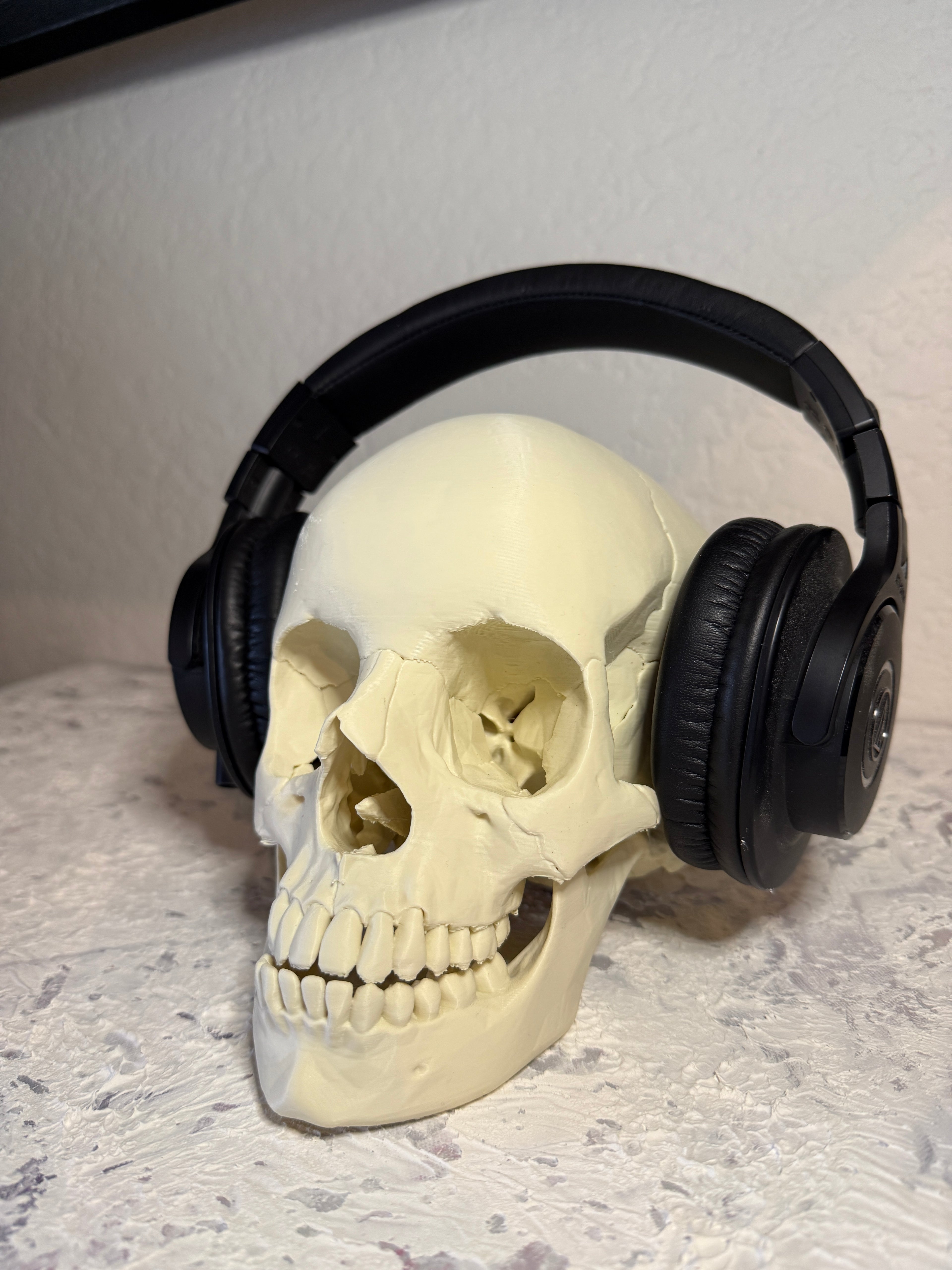 Human Skull Headphone Holder Display Piece - Anatomically accurate