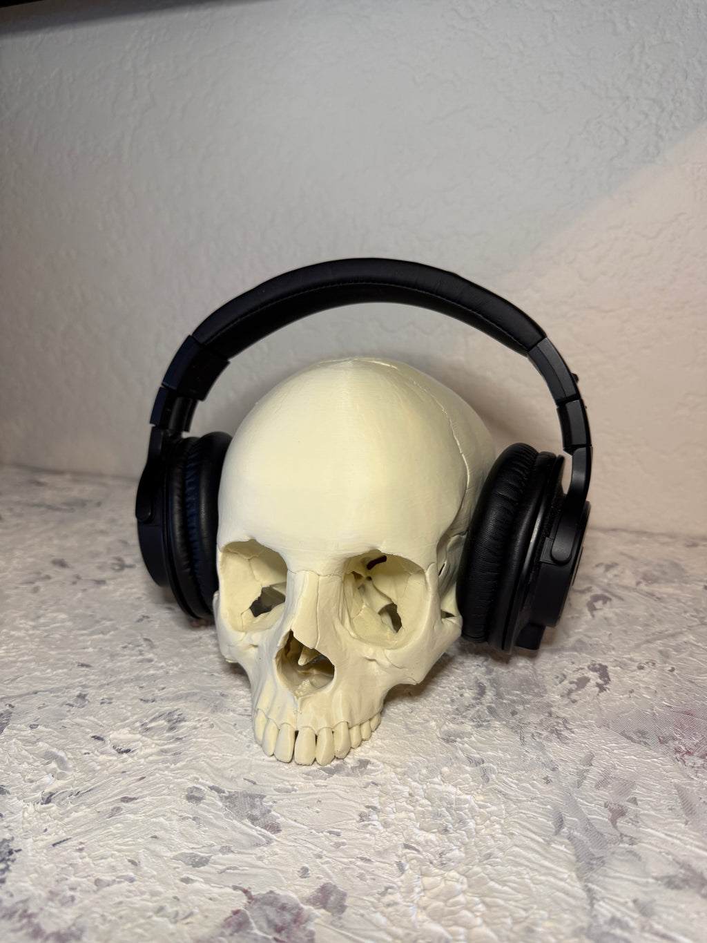 Human Skull Headphone Holder Display Piece - Anatomically accurate