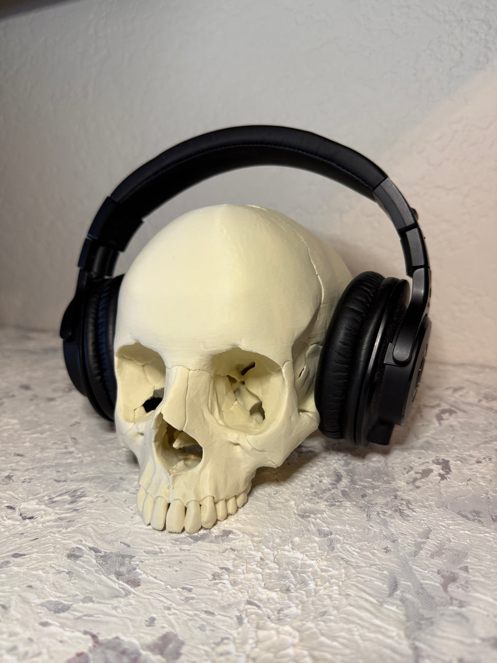 Human Skull Headphone Holder Display Piece - Anatomically accurate