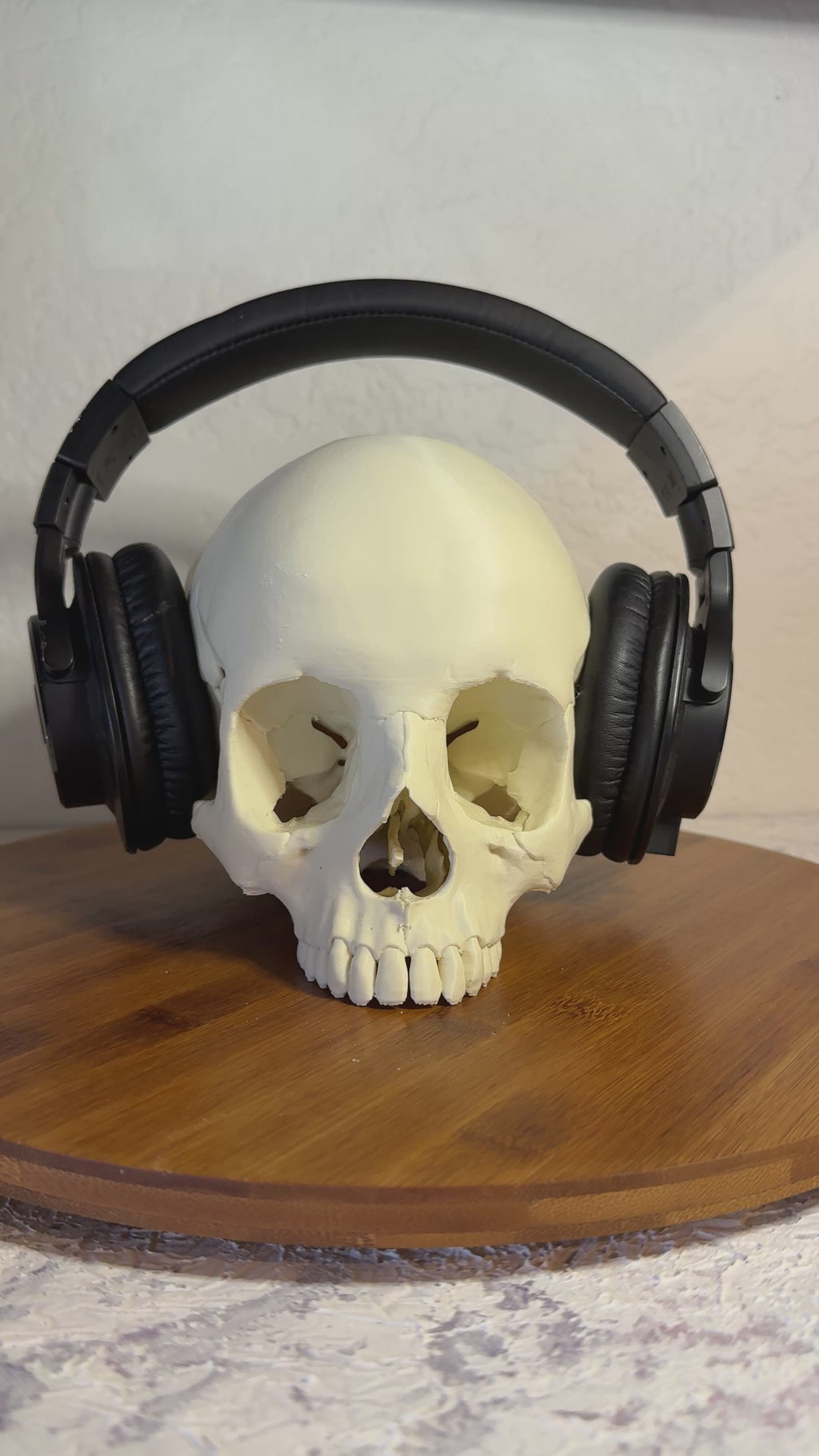 Human Skull Headphone Holder Display Piece - Anatomically accurate
